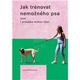 Kniha Jak trénovat nemožného psa (Jane Killionová)