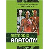 Memorix Anatomy - Entire human anatomy in English and Latin (a kolektiv Radovan (Kniha)