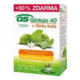GREEN SWAN GS Ginkgo 40 plus Gotu kola tbl. 80+40