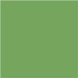 RAKO Dlažba Color Two zelená 20x20 cm, mat GAA1K466.1