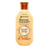 GARNIER Botanic Therapy Honey 250 ml 3600542094450