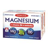 TEREZIA COMPANY TEREZIA Magnesium+vitamin B6 a meduňka cps.30