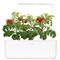 CLICK AND GROW inteligentný kvetináč na pestovanie byliniek, zeleniny, kvetov a stromov - Smart Garden 3, biela