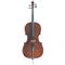 GEWA 402314 Cello Allegro 1/4