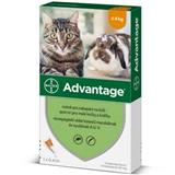 BAYER Advantage 40 10% pro kočky do 4kg 1x0,4 ml