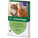 BAYER Advantage 80 10% pro kočky nad 4kg 1x0,8 ml