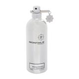 Parfém MONTALE PARIS Mango Manga 100 ml parfumovaná voda tester unisex