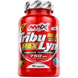AMIX NUTRITION Tribulyn Max 90 % 90 kapsúl