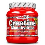 AMIX NUTRITION Creatine Monohydrate 300 g