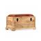 VIDAXL Úložná lavica , pravá koža a masívne mangovníkové drevo , 80x44x44 cm 245372