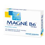 MAGNE B6 NATTERMANN & AMP ; CIE & MAGNE B6 ampulka 10x10ml
