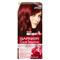 GARNIER Color Sensation 40 ml permanentná farba na vlasy pre ženy 5,62 Intense Precious Garnet