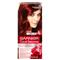 GARNIER Color Sensation 40 ml permanentná farba na vlasy pre ženy 4,60 Intense Dark Red