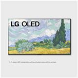 LG Televízor OLED55G1 strieborná