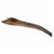 TRIXIE Papah wood - palmový list 50-65 cm pro plazy na lezení 6ks
