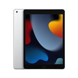 APPLE iPad 10.2 2021 Wi-Fi 256 GB - Silver MK2P3FD/A