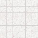 RAKO Mozaika Porfido biela 30x30 cm mat / lesk DDM06810.1