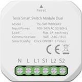 TESLA SMART Switch Module Dual