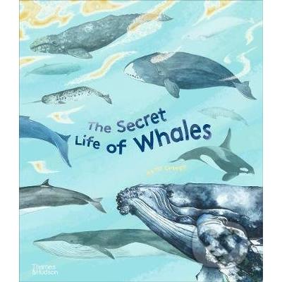 Thames & Hudson The Secret Life of Whales Rena Ortega od 13.31