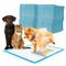 NUXIE 1459 Tréningové absorpčné podložky pre psov XL 60 x 60 cm 40 ks