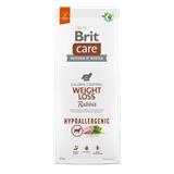 BRIT Care Dog Hypoallergenic Weight Loss 12 kg 8595602559169