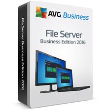 AVG File Server Edition 5 lic. (24 mes.)