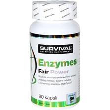SURVIVAL Enzymes Fair Power 60 tbl