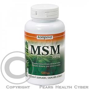 KOMPAVA MSM 500 mg/kps g/120 kapsúl