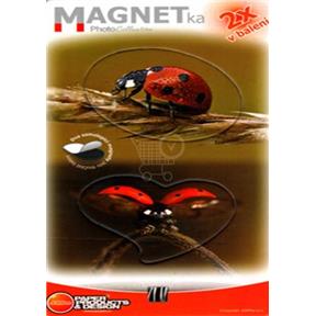 Magnetky Beruška - MF 051 [CZ] [Ostatní] (Kniha)