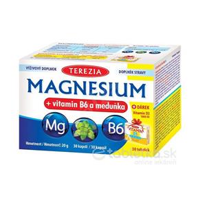 TEREZIA COMPANY Terezia Magnesium plus Vitamin B6 a medovka 30cps D3 1000IU